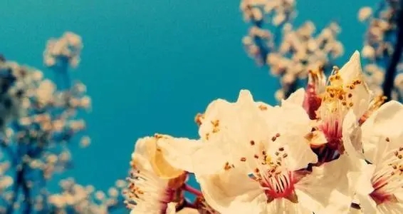 早上好问候语图片2021可爱