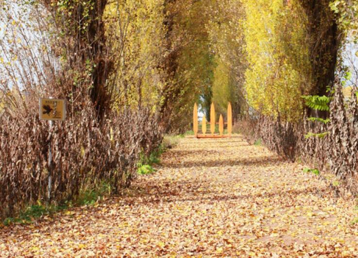 形容思绪万千的短句