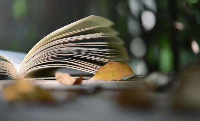 赞美生活美好的句子文案