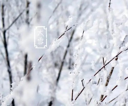 大雪节气问候语简短