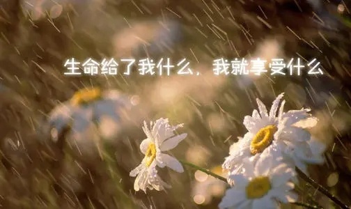 女人励志签名简短的霸气