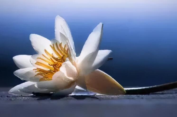 思念亡人最有名的诗词