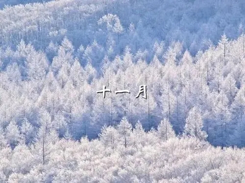 含有十二个月份的诗句文案