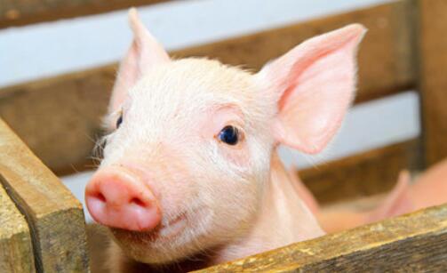 朋友圈晒体重怎么说