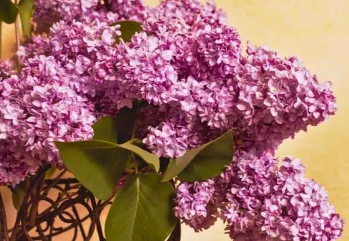 早上最暖心的情话文案