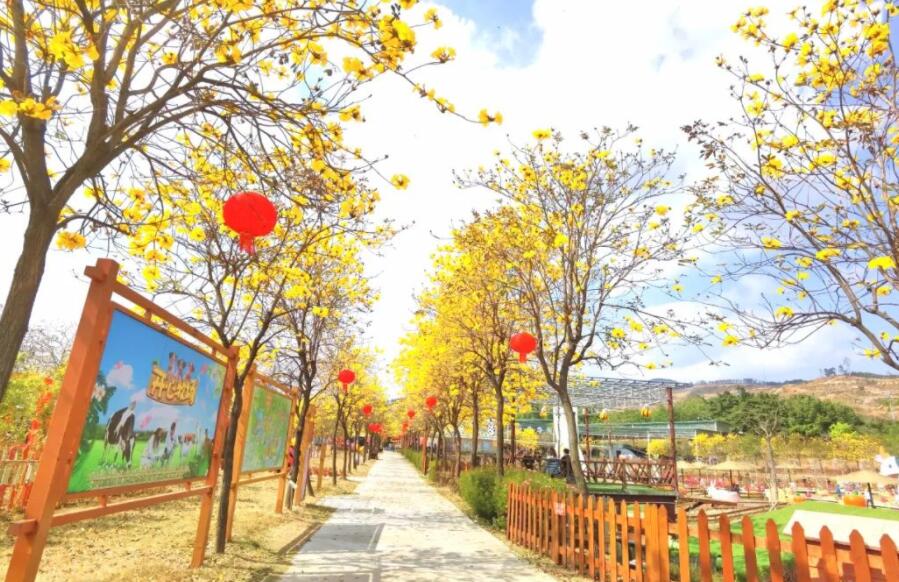 春天朋友圈配文简单