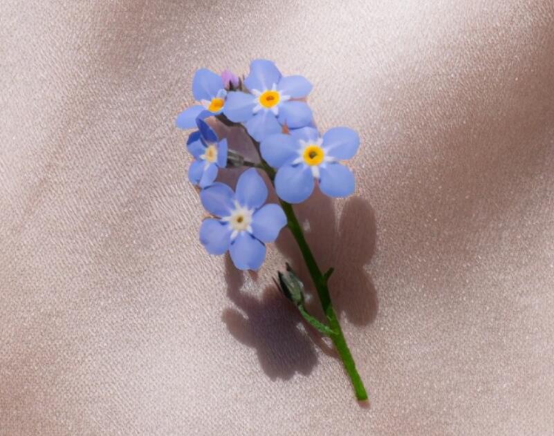 一句话暖心文案