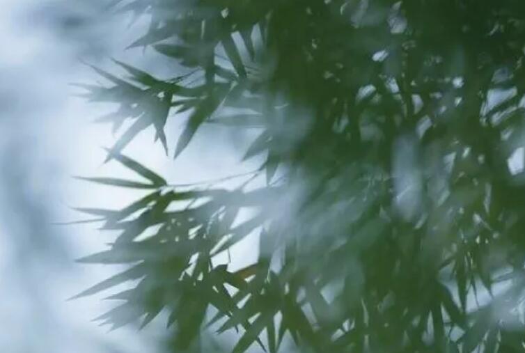 关于绿色的霸气短句