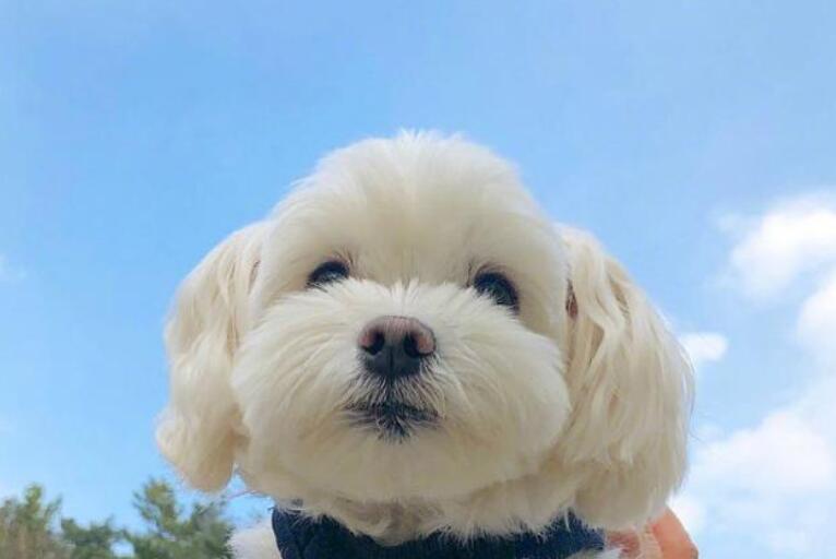 每天早上发的积极向上的话