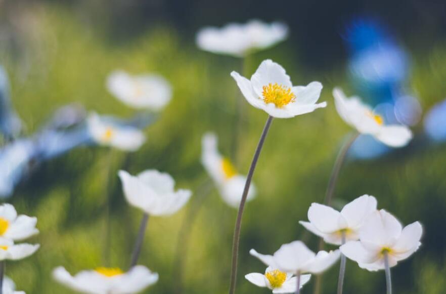 2024现实经典说说文案