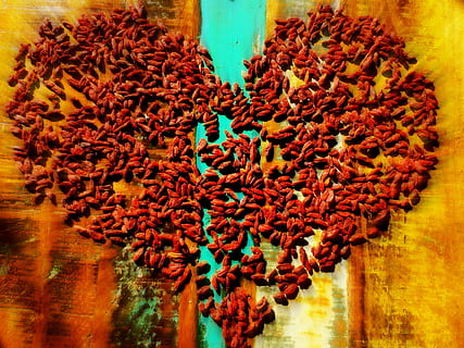 形容追女生追不到的句子文案