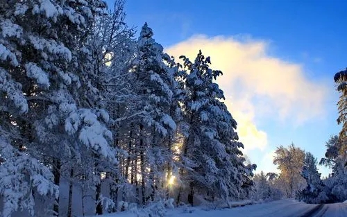 形容冬天的句子文案