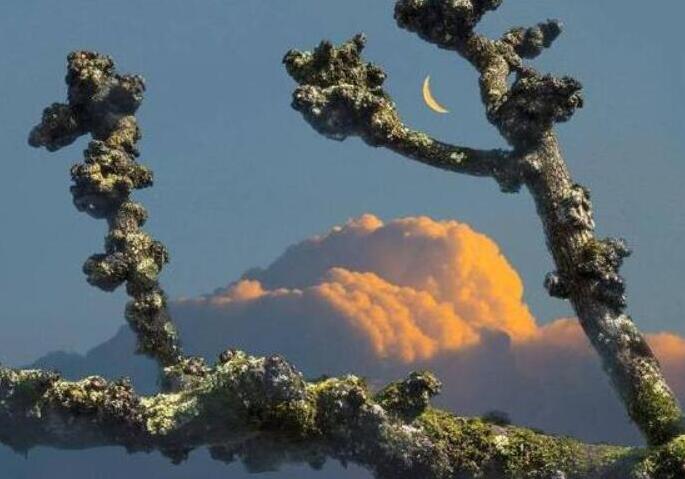 表达开心的搞笑说说文案