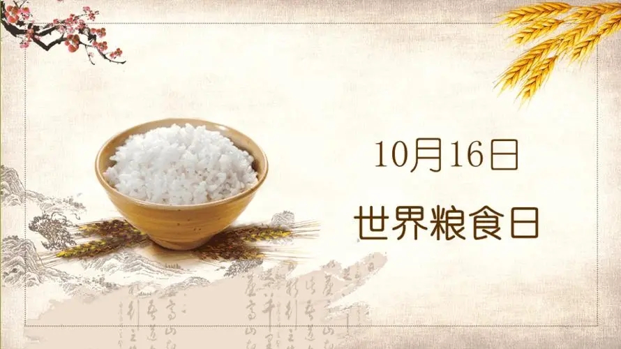 珍惜粮食的名言