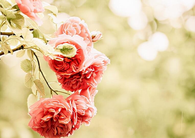 含深刻道理的句子文案