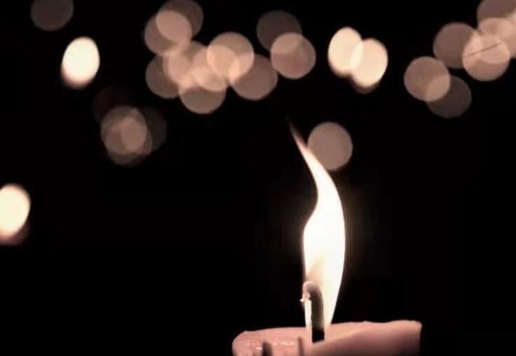 关于鸟的优美句子文案10字