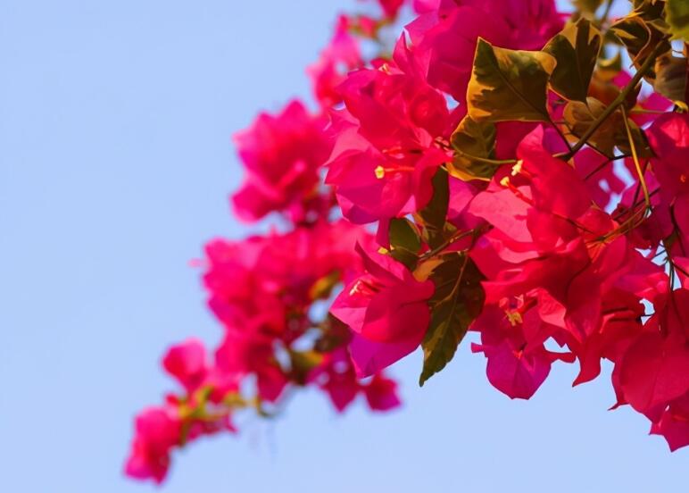 感恩相遇感谢有你句子文案