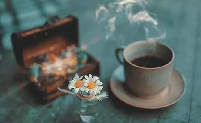 学生感谢老师的话