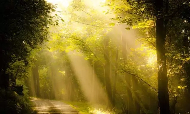 拥抱大自然的短句