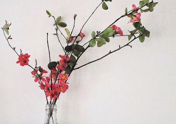 讽刺辉煌和落魄的句子文案