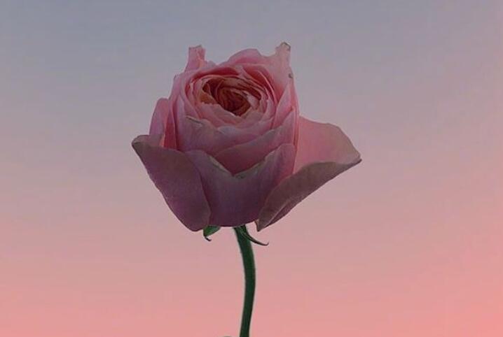 温馨的早安心语短句