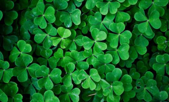 人间山河经典语录文案