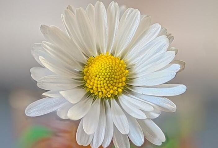 有关于反省的名人名言