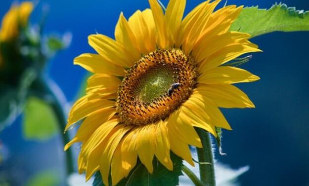 刚分手说说伤感句子文案