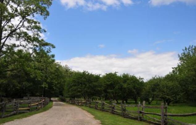 描写清晨的优美句子文案