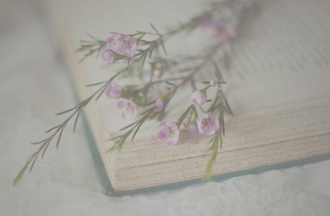 个性脱俗的长句子文案