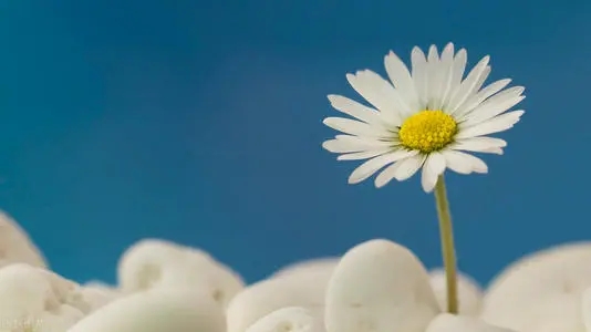 暖心正能量简短句子文案