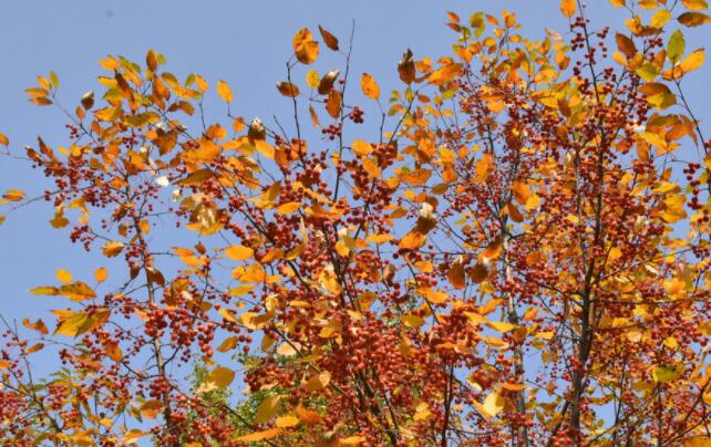 适合发朋友圈最美短文