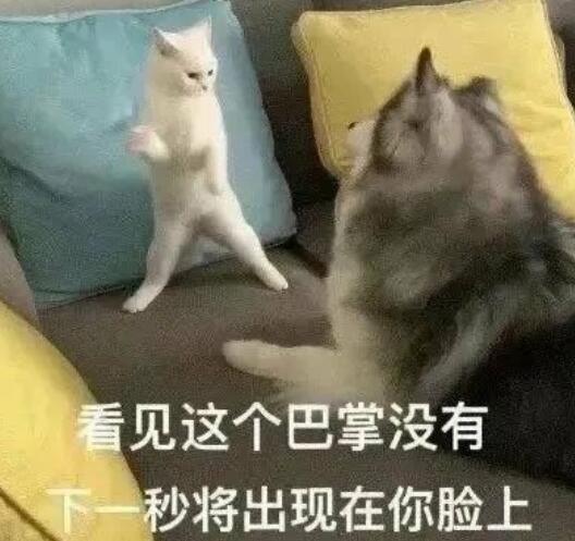 沙雕日常的文案