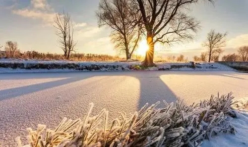 坚持不懈的句子文案励志