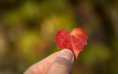 做人要将心比心的句子文案