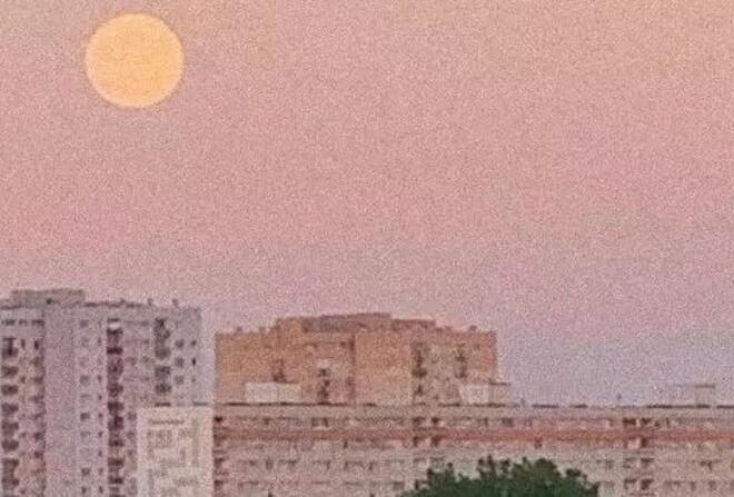 名人说过的爱情名句文案