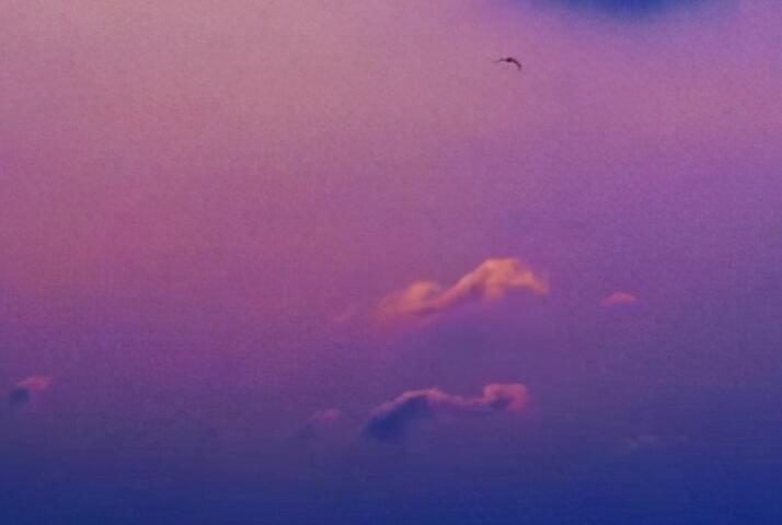 适合静心的文案