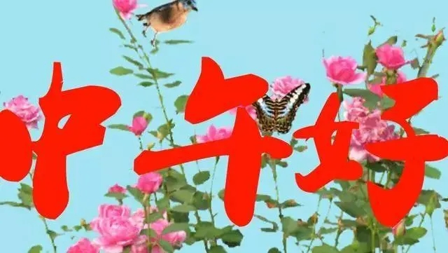 中午问候语温馨一句话