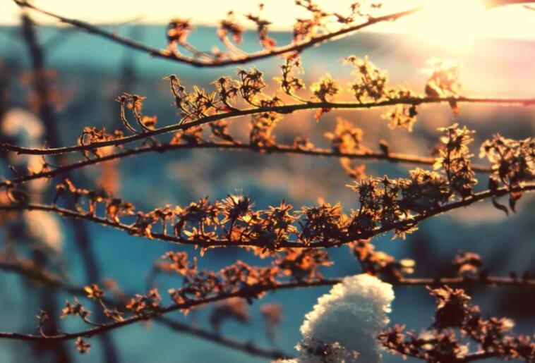 别把老实人当傻子名言