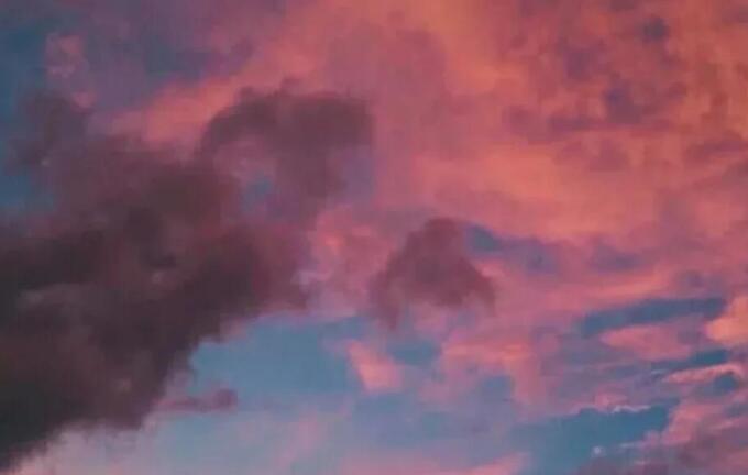 守护陪伴的句子文案