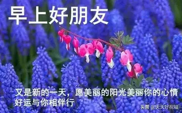 朋友友谊问候祝福语