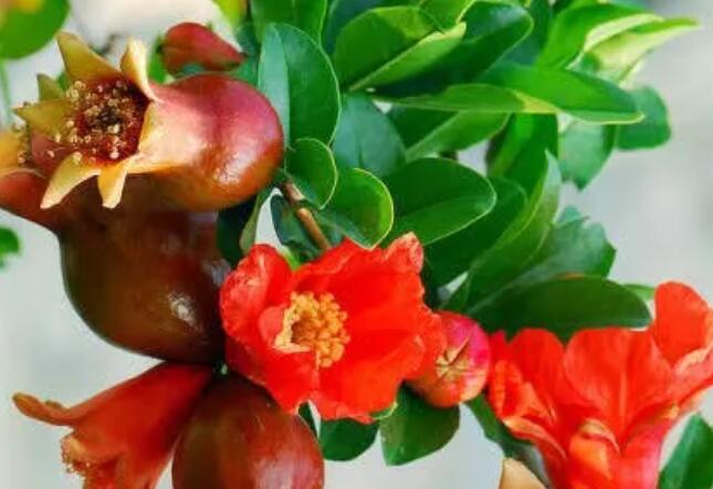 发早安朋友圈点赞最高的句子文案