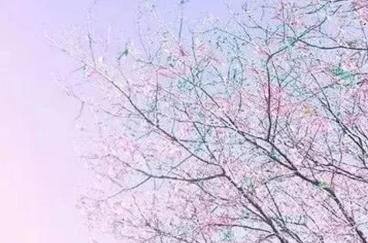 表示自己被无视的句子文案