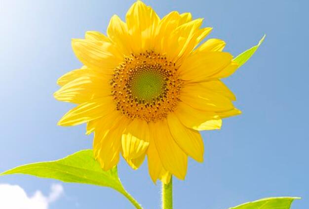 走出监狱感慨句子文案