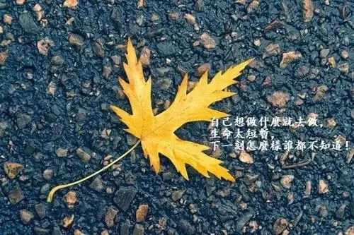 朋友圈走心干净句子文案