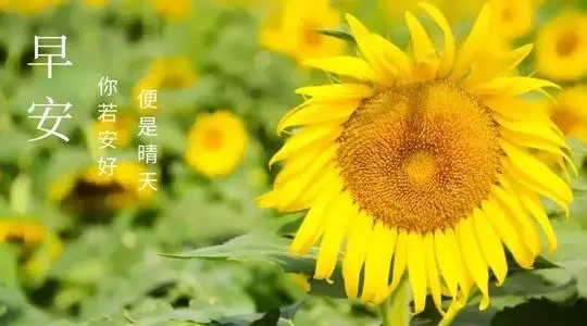 做生意早安正能量简单一句话