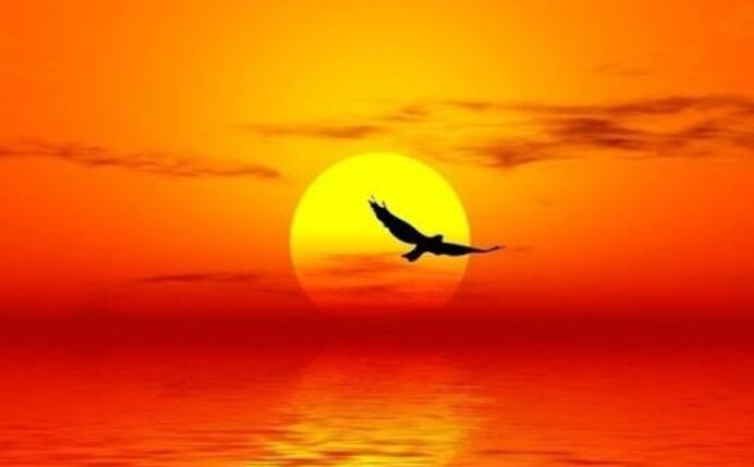 《温度》经典语录文案