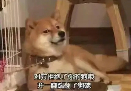 对于撒狗粮的经典回复