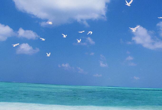 写一写其他颜色的句子文案