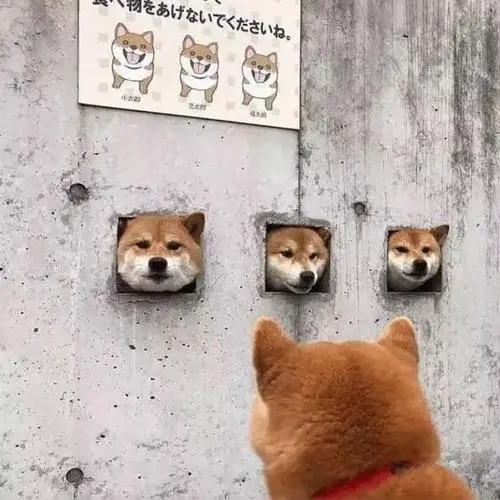 憨憨可爱的文案短